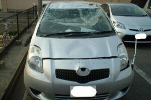 TOYOTA  VITZ CBA-NCP95 2006 - Image 5