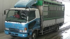 2001 Mitsubishi FIGHTER Box Truck FK61HJ 3.3 Ton