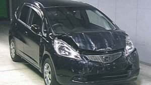 2009 Honda FIT GE6 L