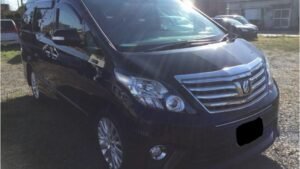 2013 Toyota Alphard ANH20W 240S C-PKG