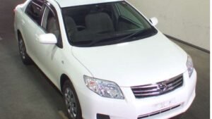 2009 Toyota Corolla Axio NZE144 X business