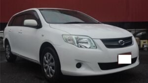 2009 Toyota Corolla Fielder NZE144G X