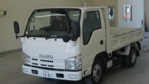 2010 Dump Tipper Isuzu Elf BKG-NJR85AD