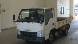 2009 Dump Tipper Isuzu Elf BKG-NJR85AD