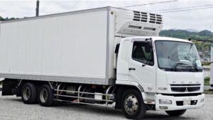 2009 Freezer Refrigerator Truck Mitsubishi Fuso Fighter PDG-FQ62F
