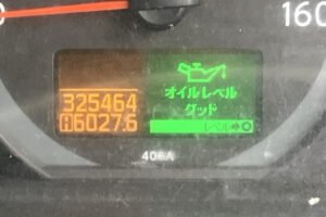 2008 Double Cab Truck Nissan Atlas PDG-TZ2F24