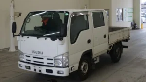 2010 Double Cab Truck Isuzu Elf BKG-NHR85A