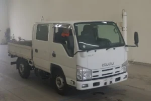 2010 Double Cab Truck Isuzu Elf BKG-NHR85A