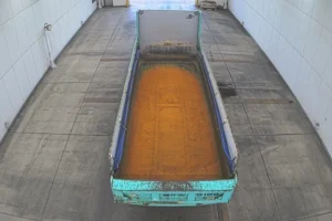 2013 Dump Tipper Truck Isuzu Giga QKG-CYZ77AM