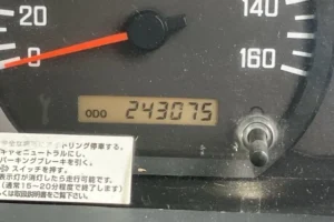 2010 Double Cab Truck Isuzu Elf BKG-NHR85A