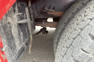 2006 Others Trucks Hino Ranger ADG-GD7JGWA